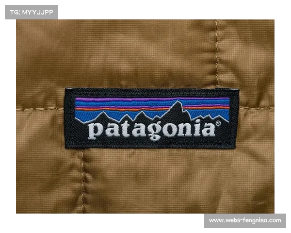 Patagonia发布《给地球的报告》，披露环保目标进展